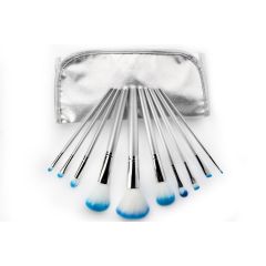 BP Professional Brush Set – Blue
