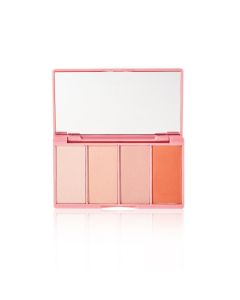 Pro Blush Palette