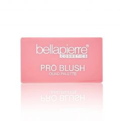 Pro Blush Palette